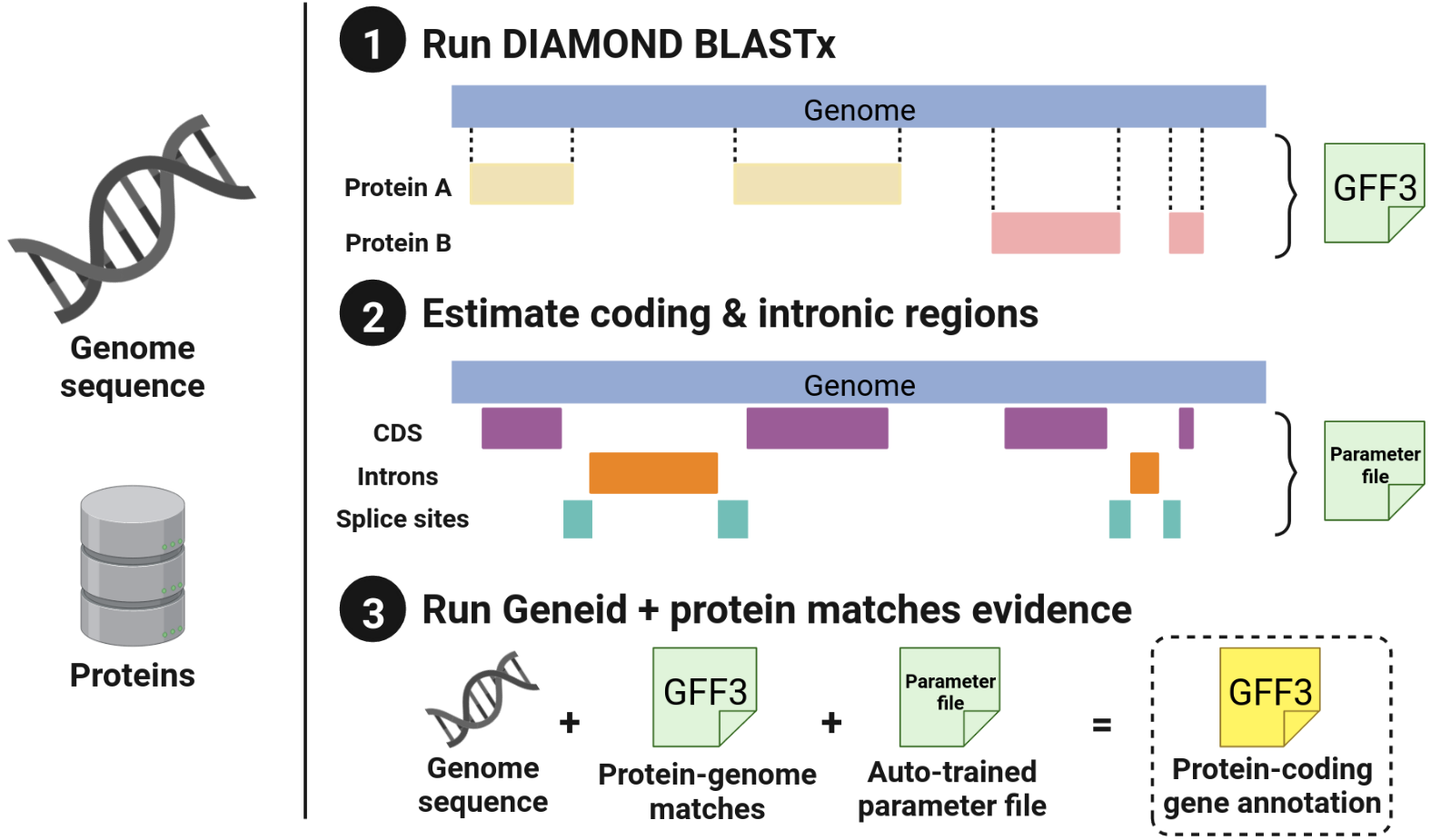 Summary of vertebrate benchmark