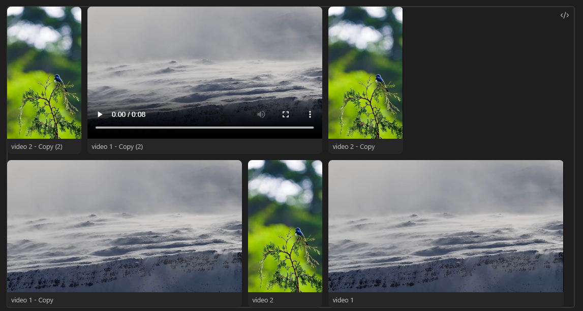 VideoGallery