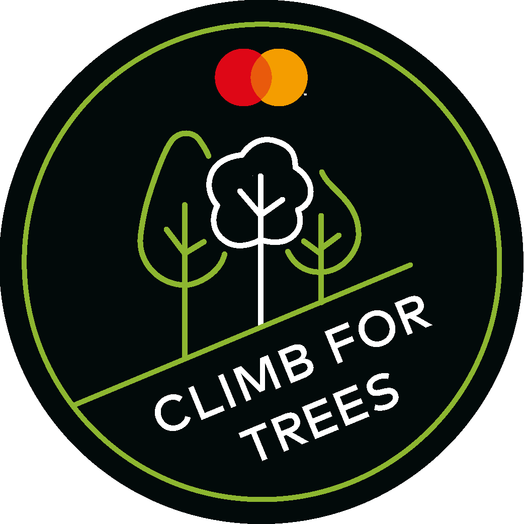 Mastercard - Climb for Trees Challenge