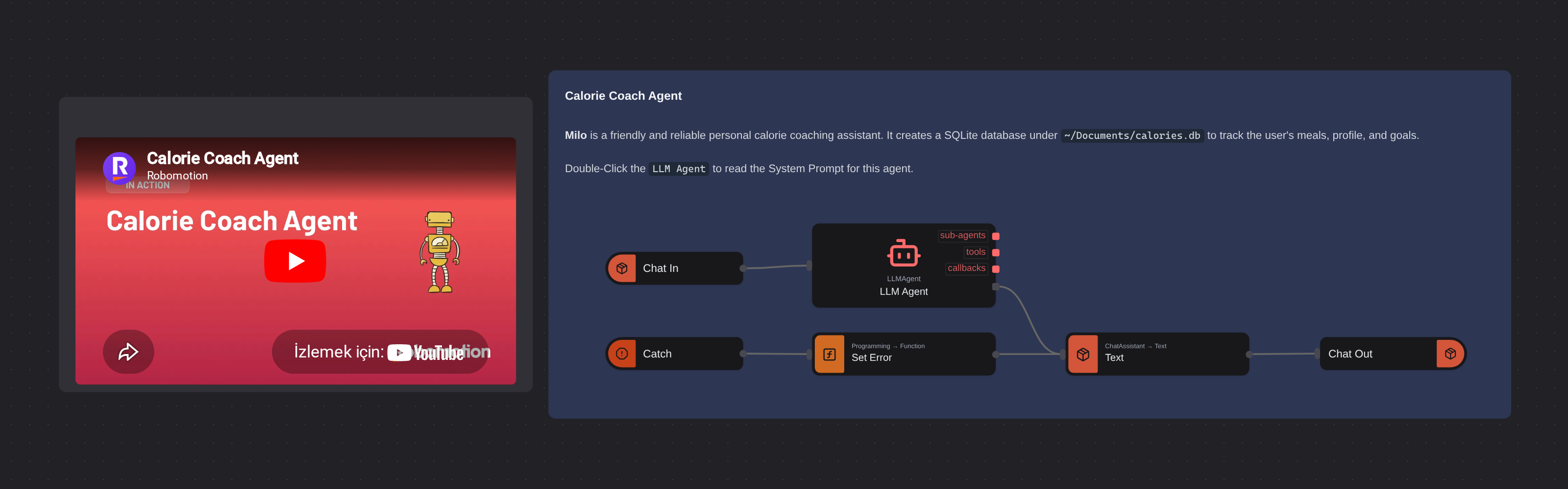 Calorie Coach Agent