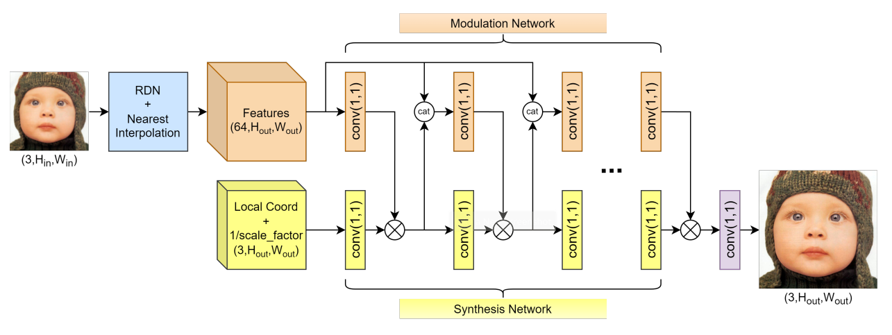 model_architecture