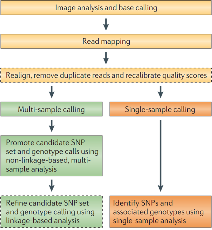 SNV call summary workflow