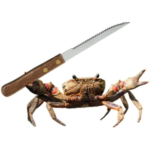 https://raw.githubusercontent.com/rochacbruno/rust_memes/master/img/beware_of_the_crab.jpg