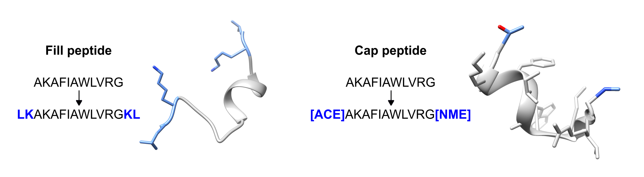 Fig2