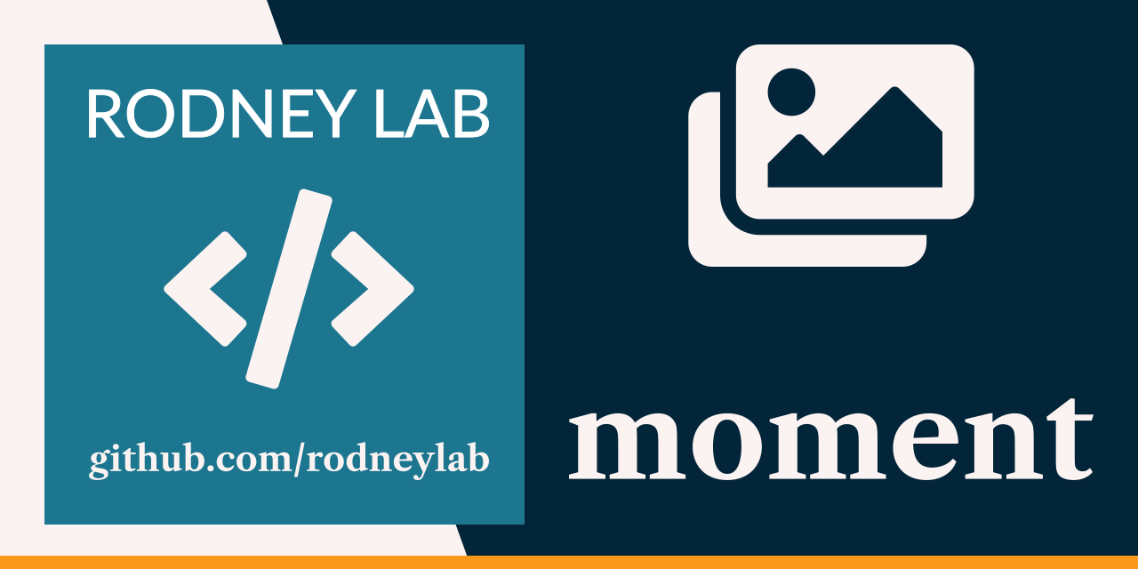 Rodney Lab moment Github banner