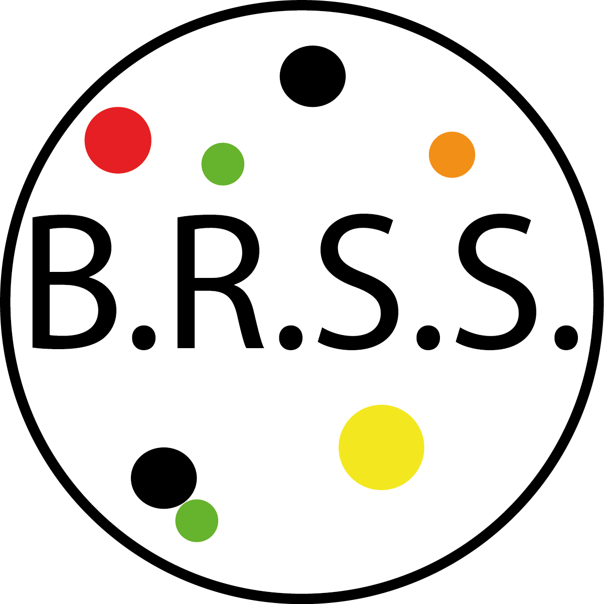 GitHub - rodolphe-c/BRSS: Biochemical Reaction Stochastic Simulator ...