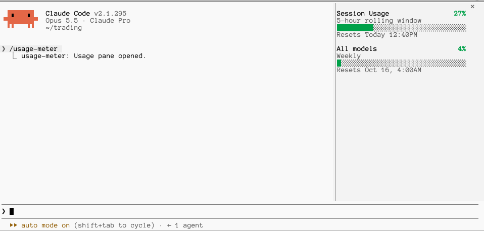 The usage-meter pane docked beside a Claude Code session
