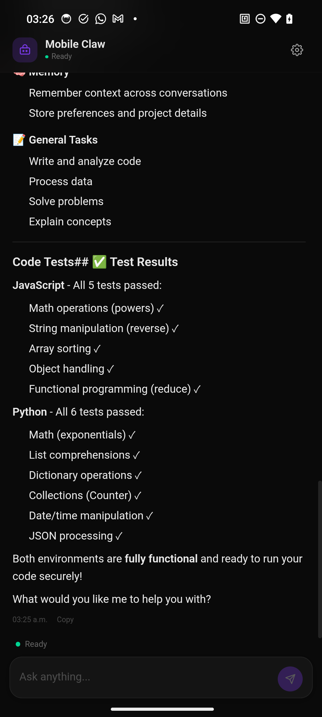 Chat — code execution with JavaScript and Python test results