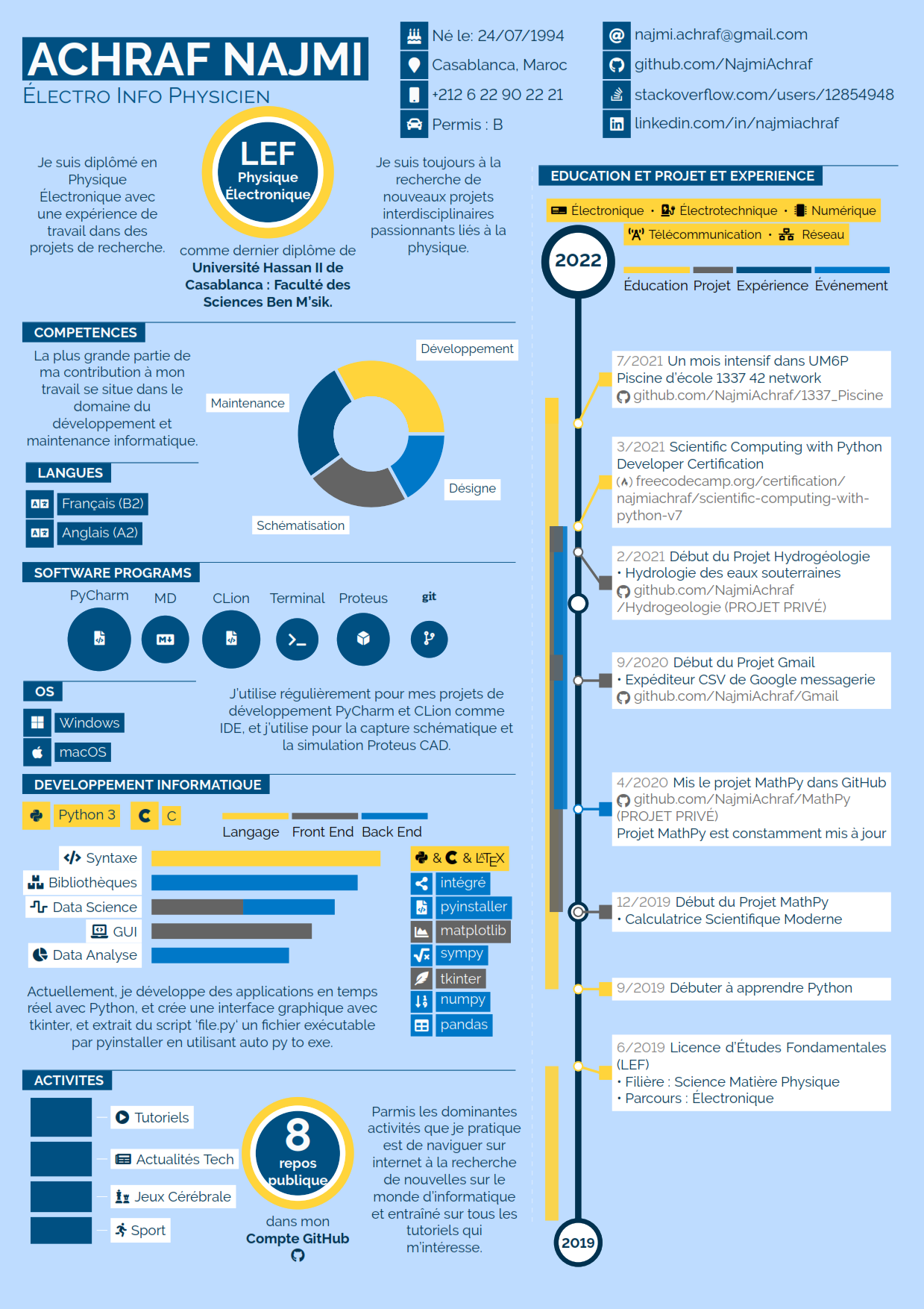 Infographics CV example preview