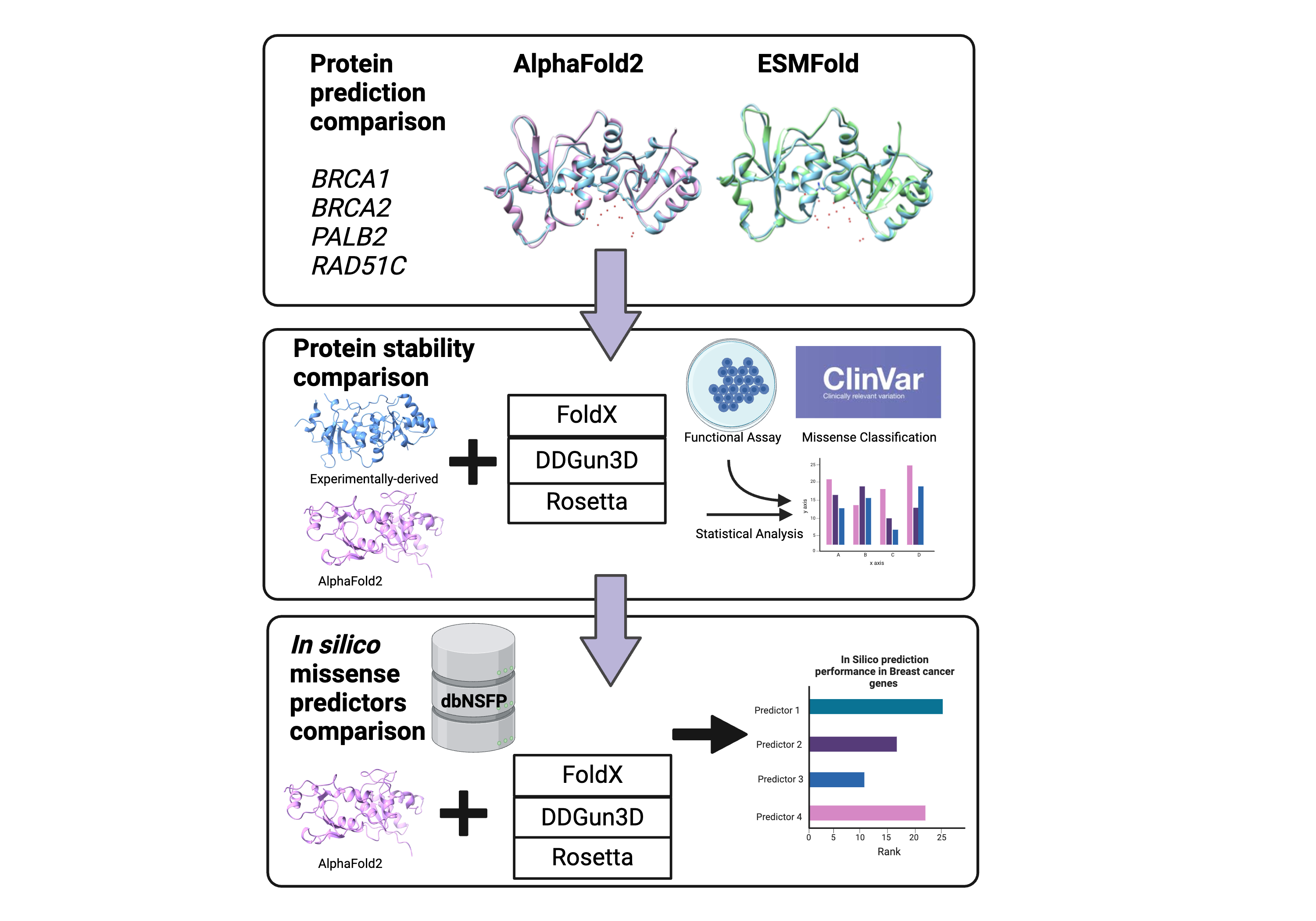 AUC of protein stability prediction of function from AF2 structures and experimentally-derived structures