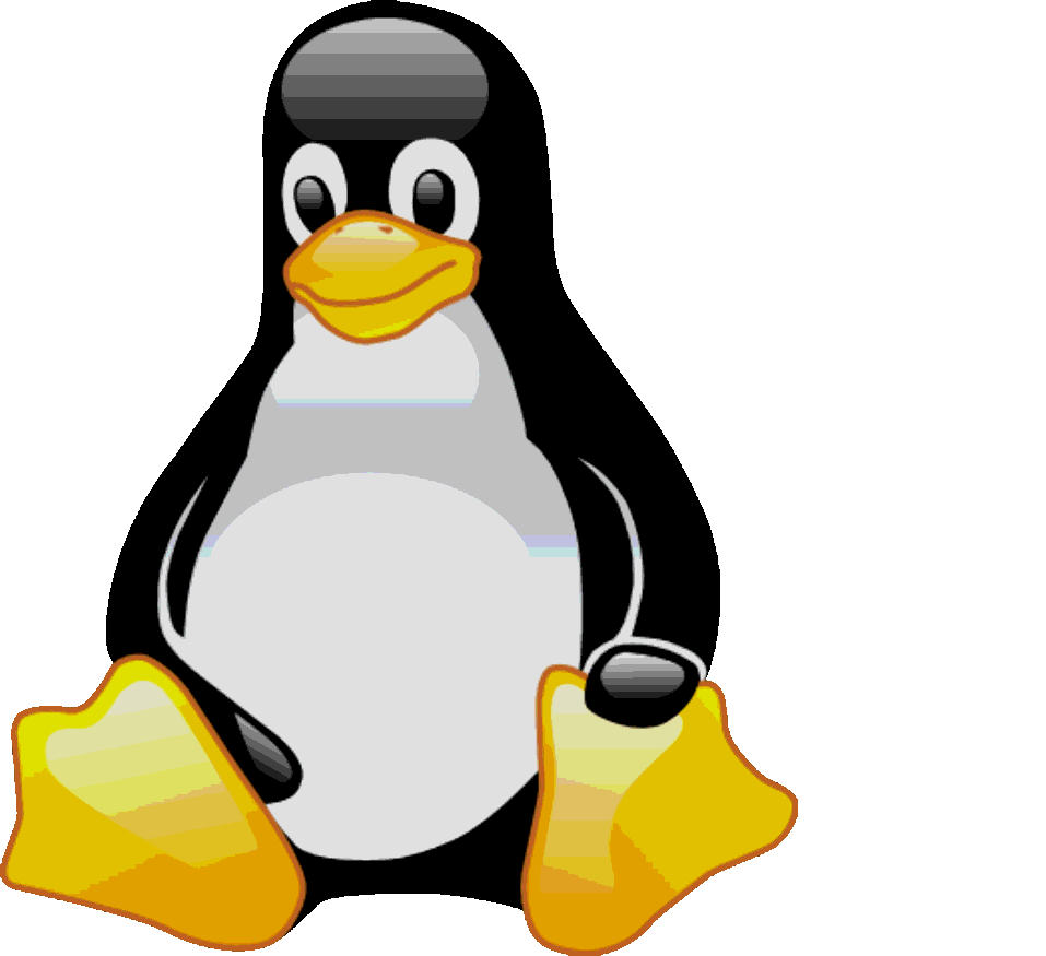 mario penguin - decrypted image