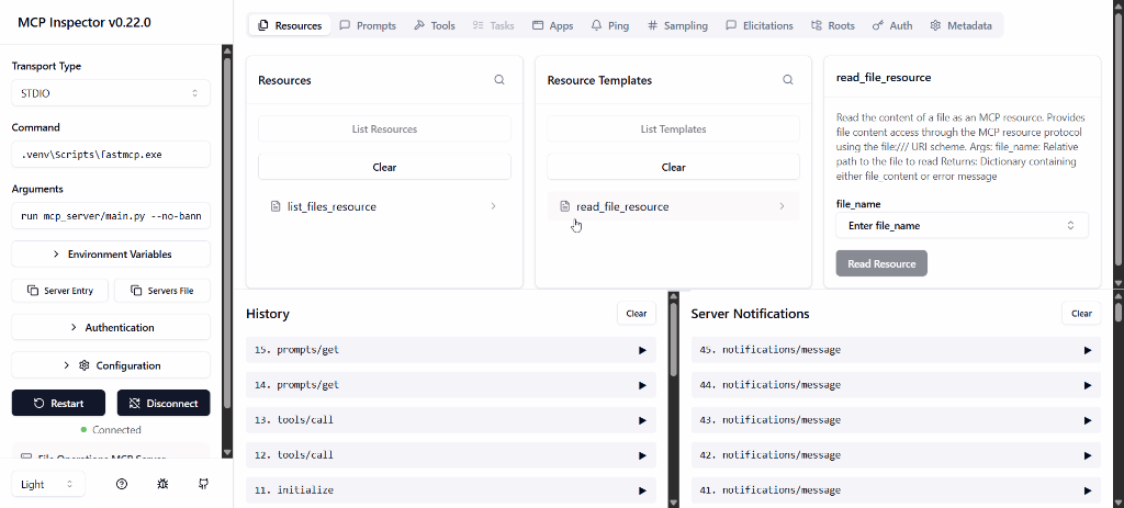 MCP Inspector Interface