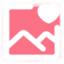 roim-picx