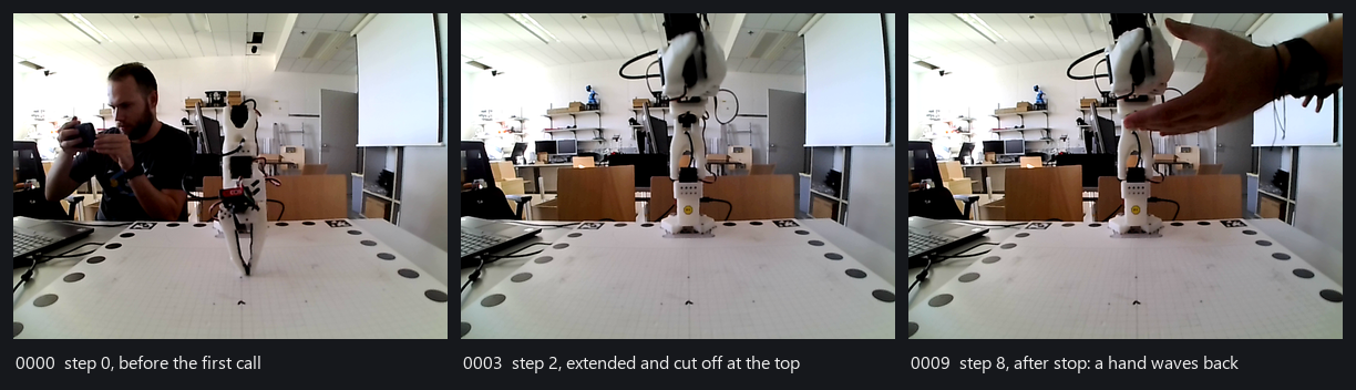Three webcam frames from the run, side by side. Left: the arm folded on the bench with a person behind it holding a camera. Middle: the arm raised, its wrist and gripper cut off by the top edge of the frame. Right: after the stop, a hand entering from the right, palm open, waving back at the arm.