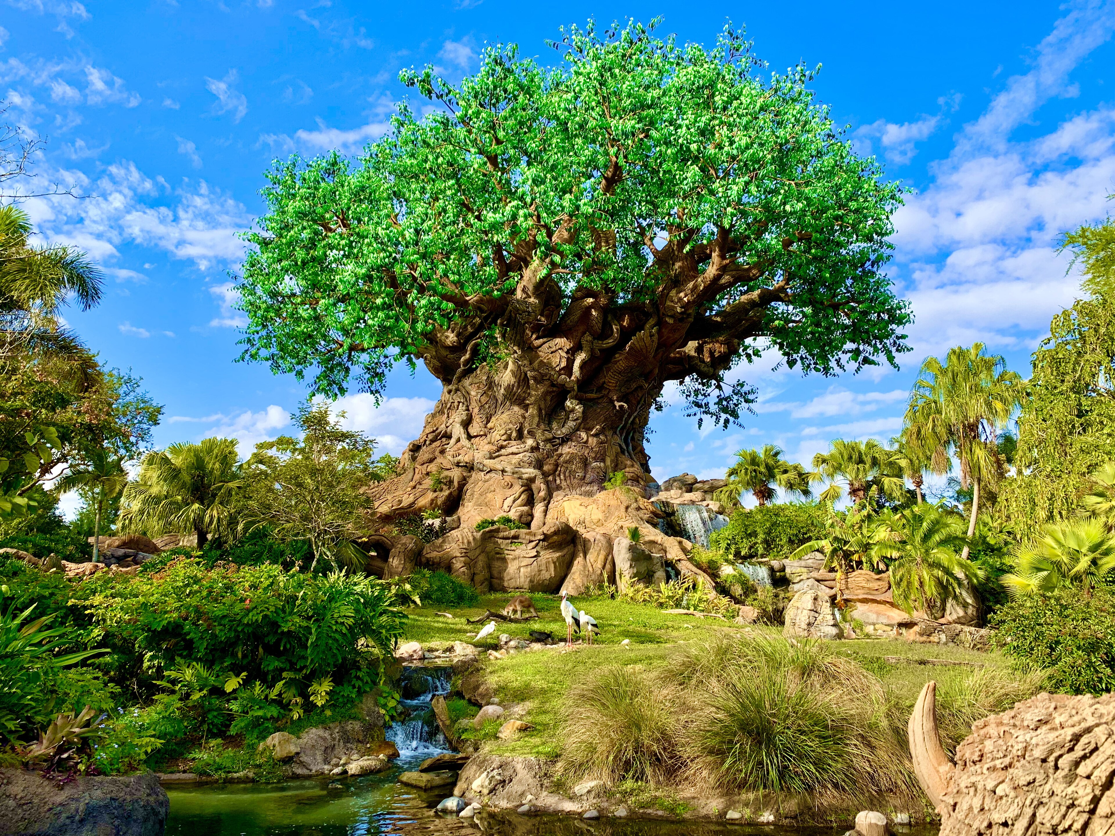 Lugar real que inspirou Ponto turístico em Leonard County