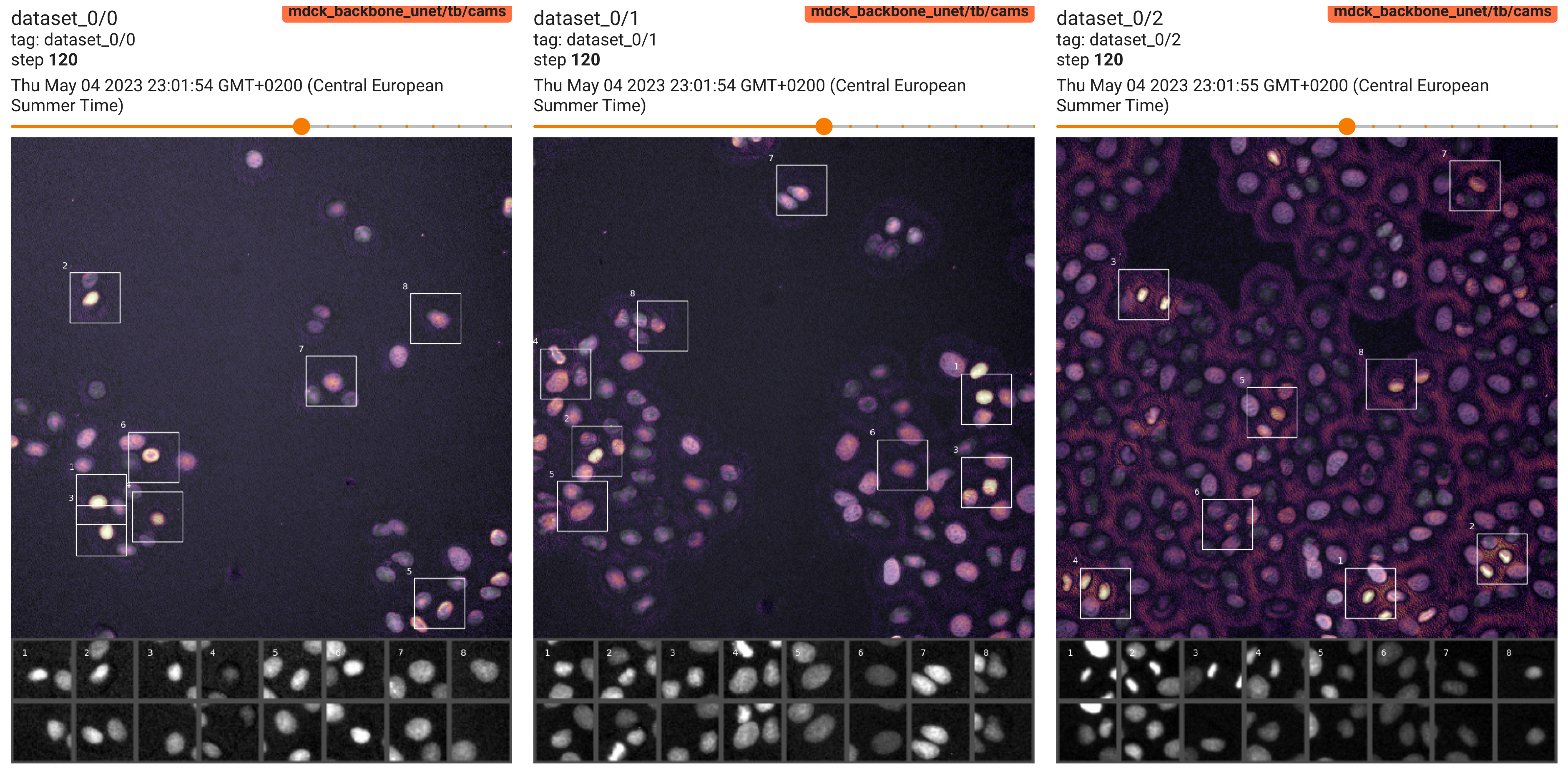 Tensorboard attribution maps