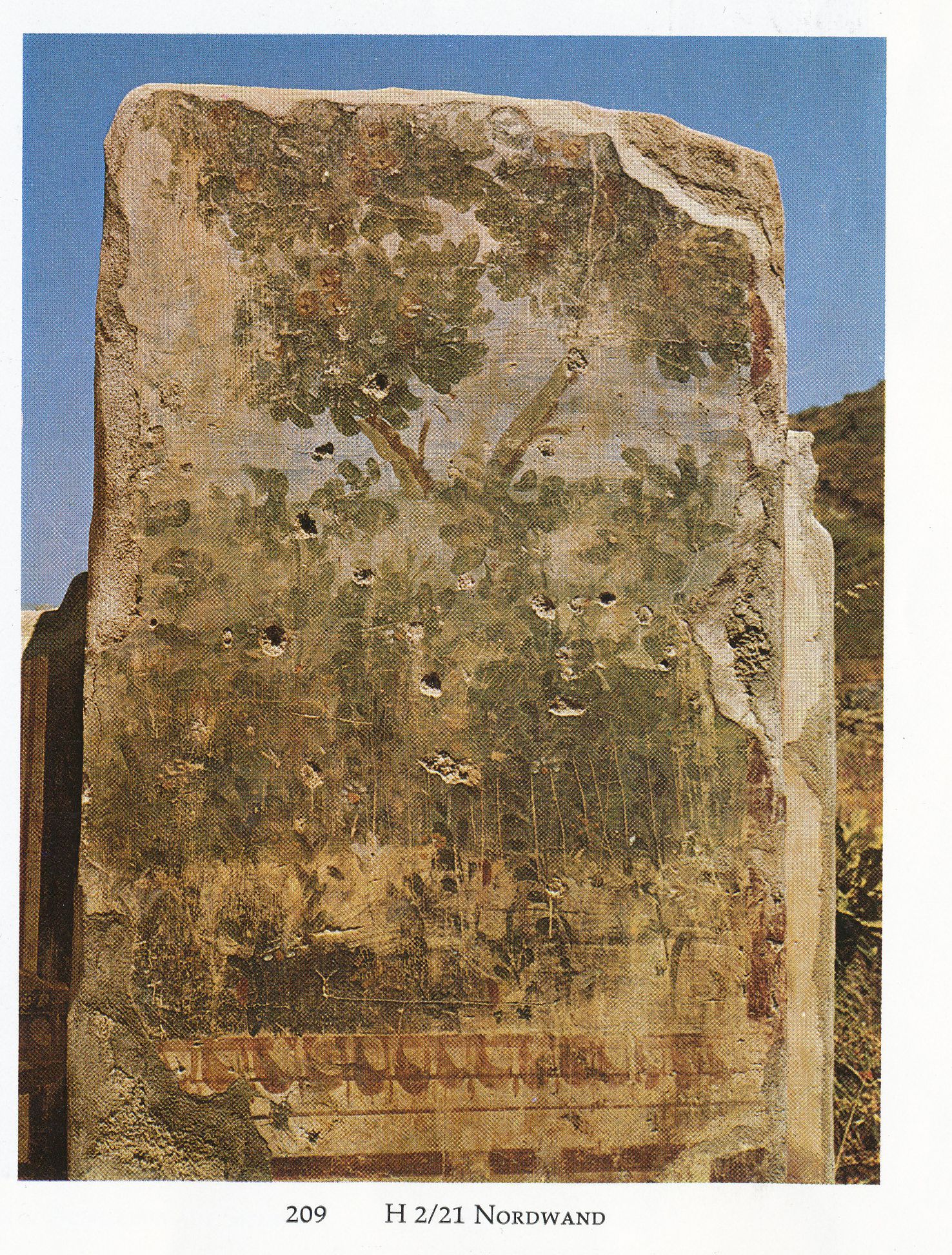 Painting showing plants as discovered on the North wall of the terrace house 2
