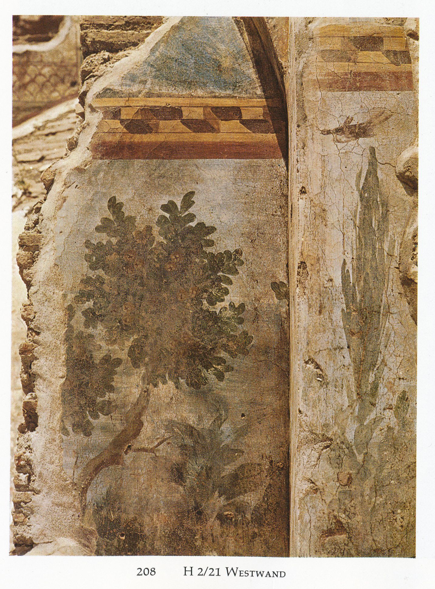 Painting showing plants as discovered on the west wall of the terrace house 2