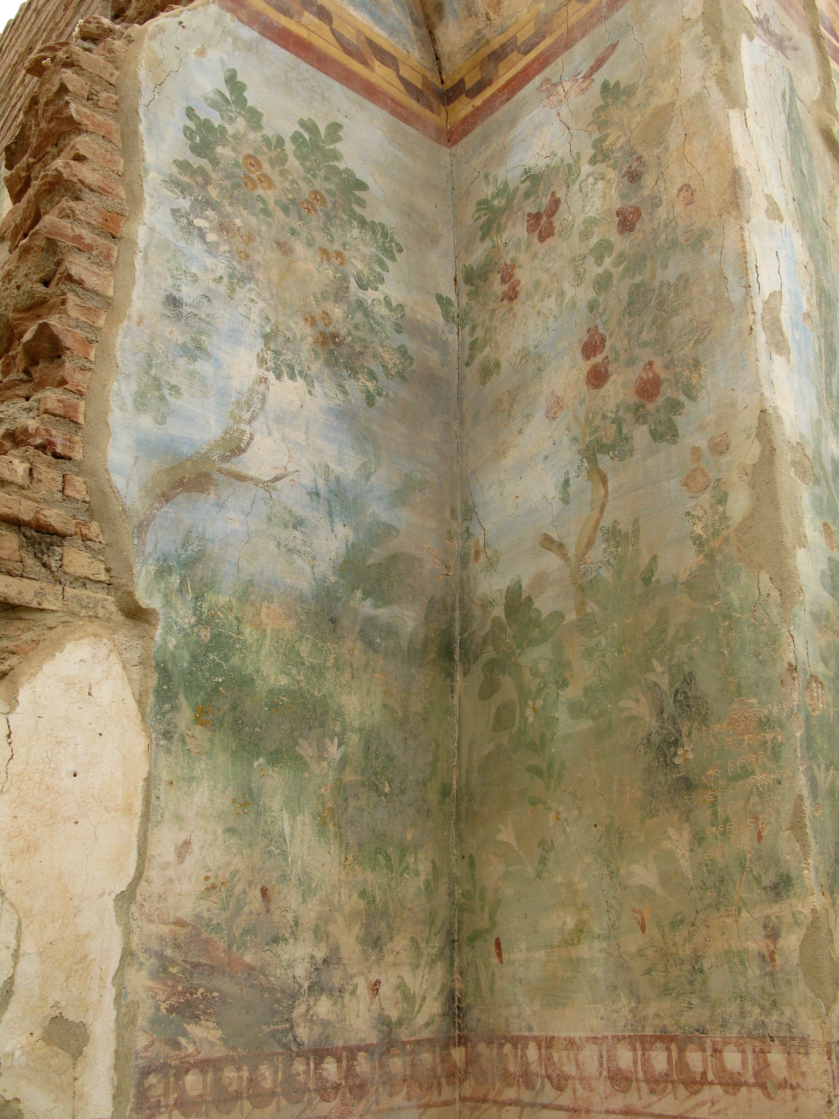 Detail of the garden painting in the North-West corner of the peristyle showing plants in the foreground and trees with red fruits
