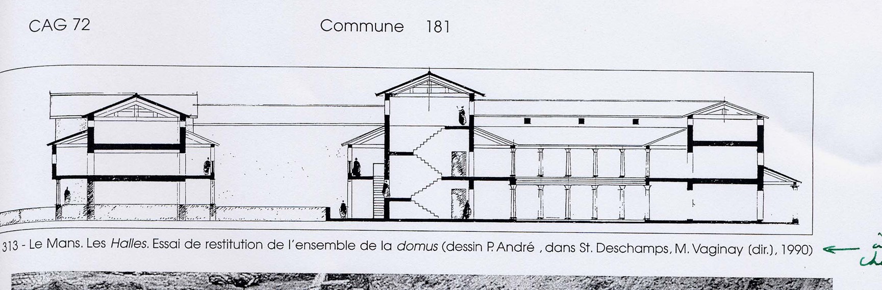 A section drawing depicting the two floors of what a restored domus would look like.