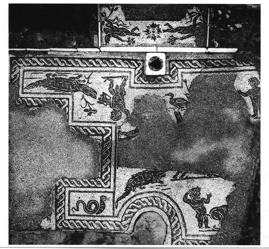 Photo of mosaic with nilotic scene from Fountain b