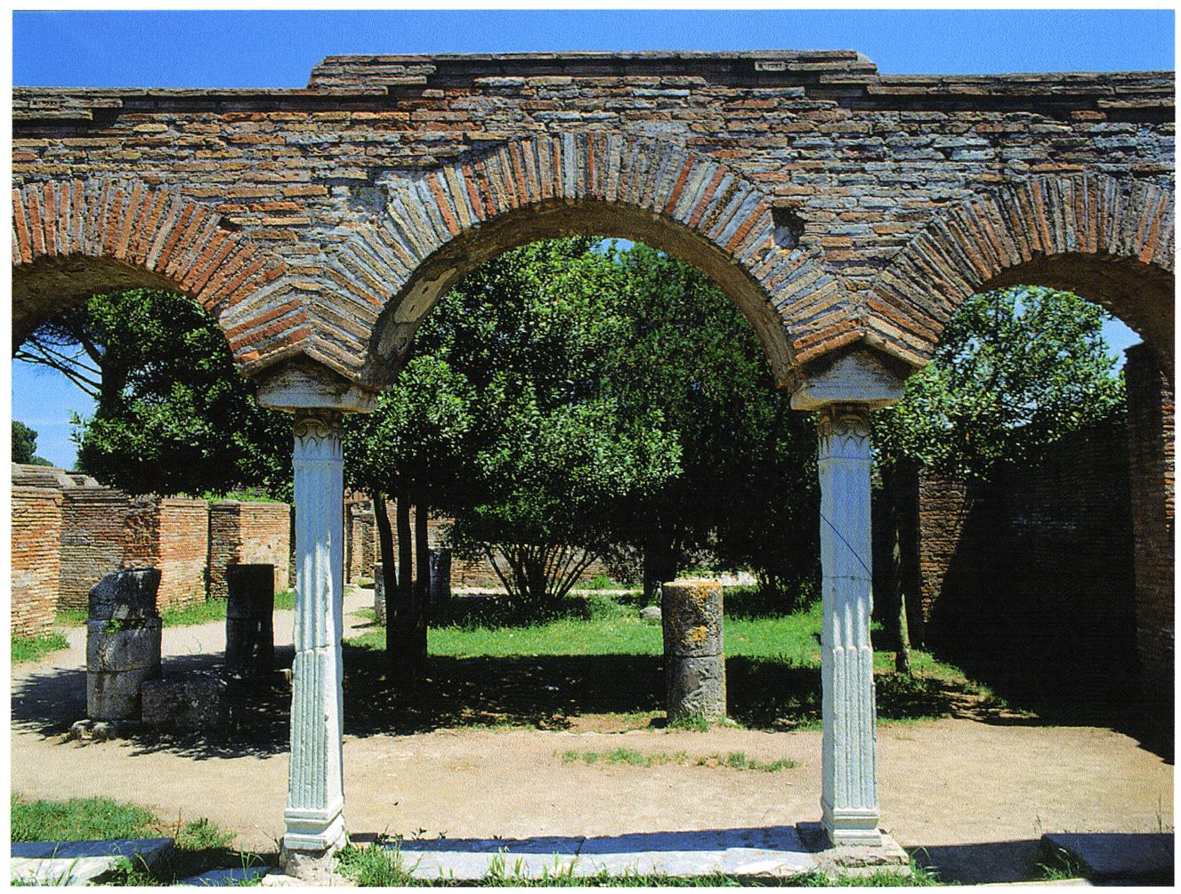 The garden seen from the oecus
