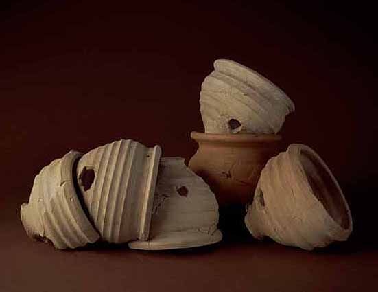 Flowerpots of the Flavian Palace