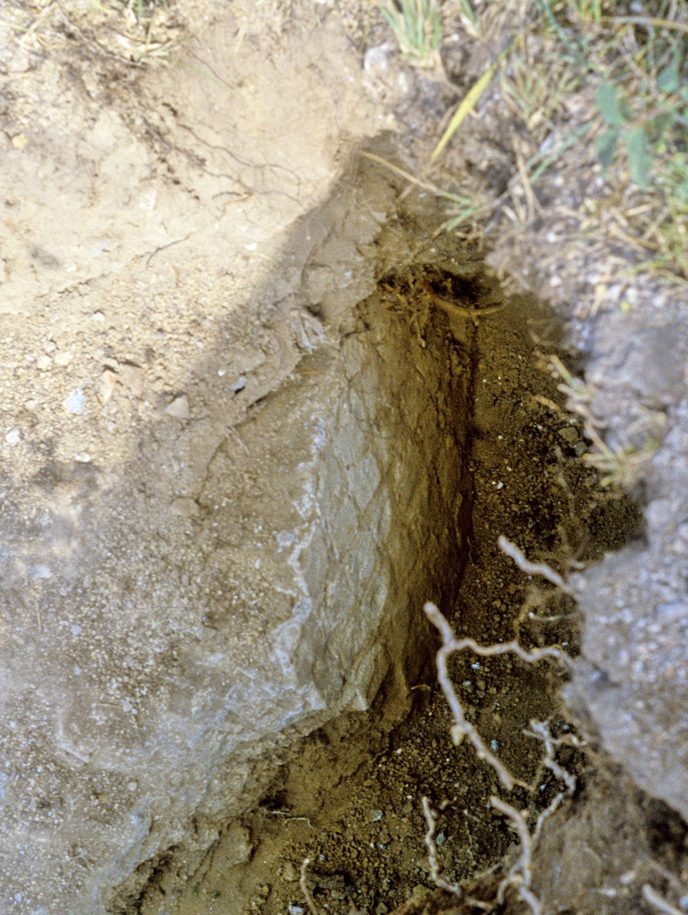 Photograph of a canal unearthed by the probe at the Palace Nymphaeum at Hadrian's Villa