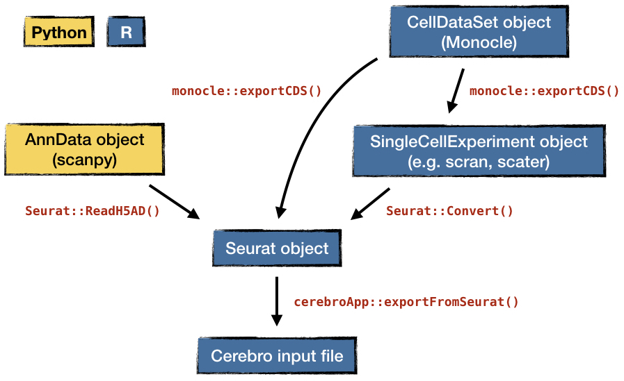 Single cell data formats