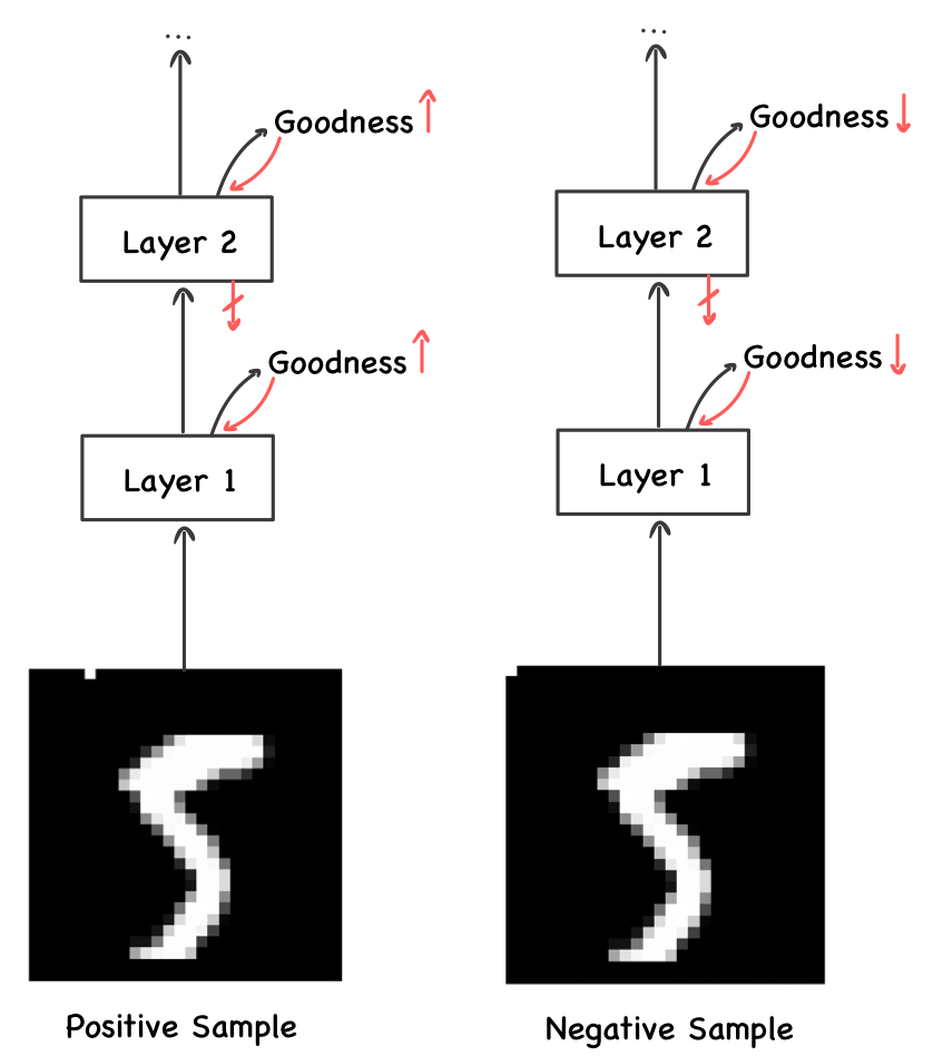 The Forward-Forward Algorithm