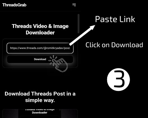 Threads downloader guide