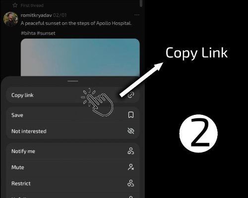 Threads video downloader