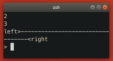 Zsh Resizing Bug 2