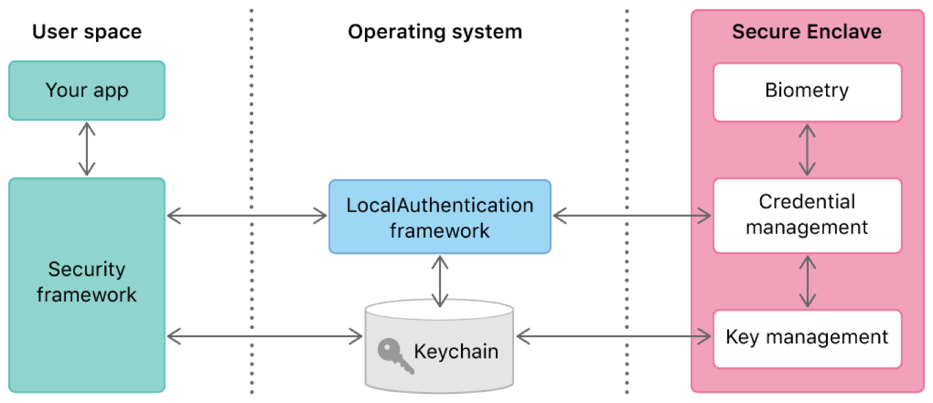 Diagram showing the relationships among the Security and LocalAuthentication frameworks, and the Secure Enclave, to securely store keychain items.