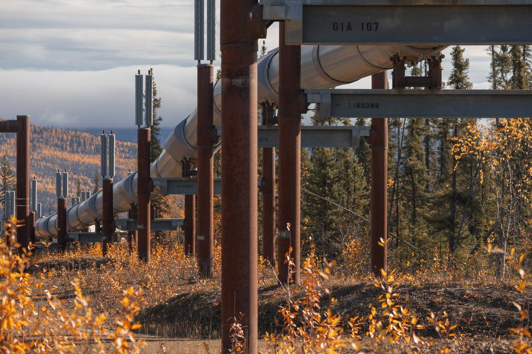Alaska Pipeline & Dalton Highway I