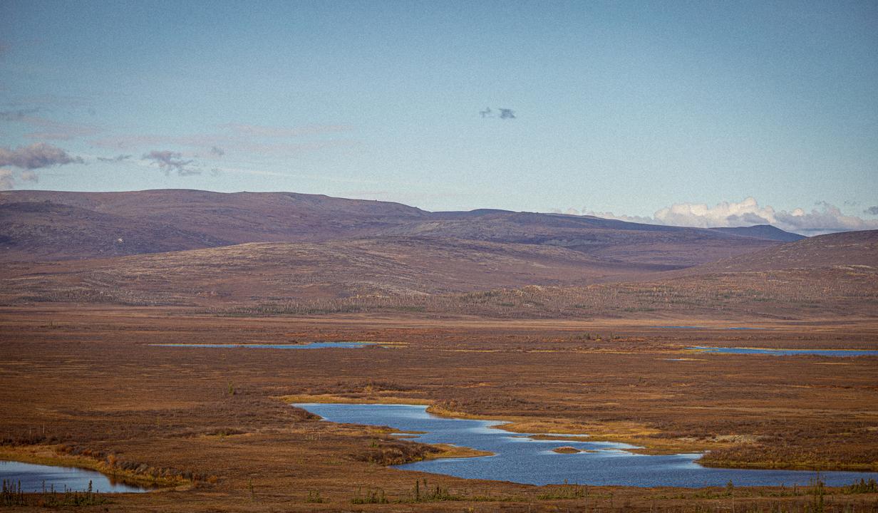 Overlook of Tundra I