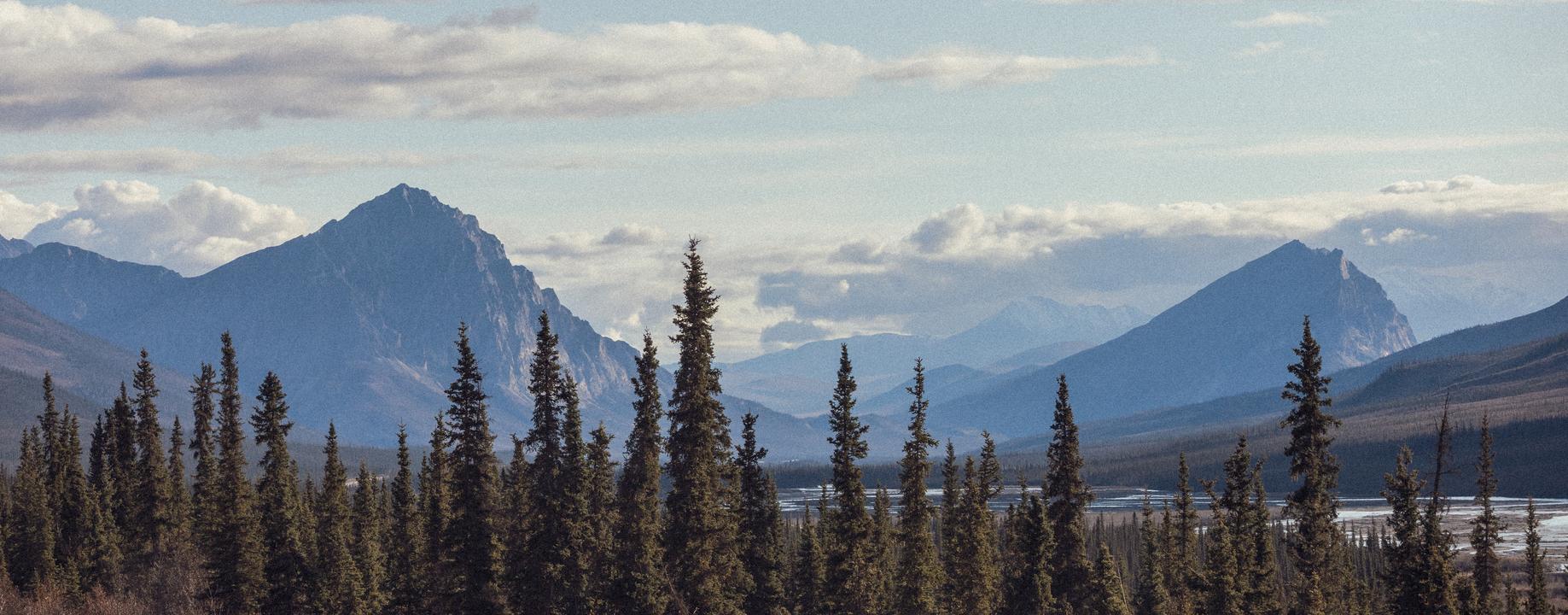 Dalton Highway, Forest and Endless Mountains II