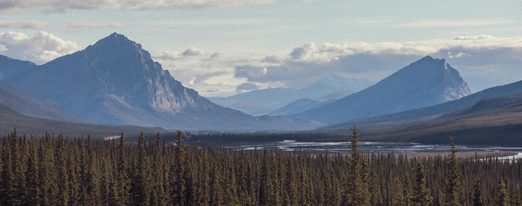 Dalton Highway, Forest and Endless Mountains III