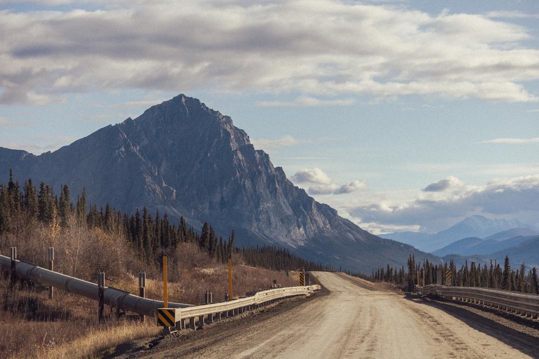 Dalton Highway, Forest and Endless Mountains V