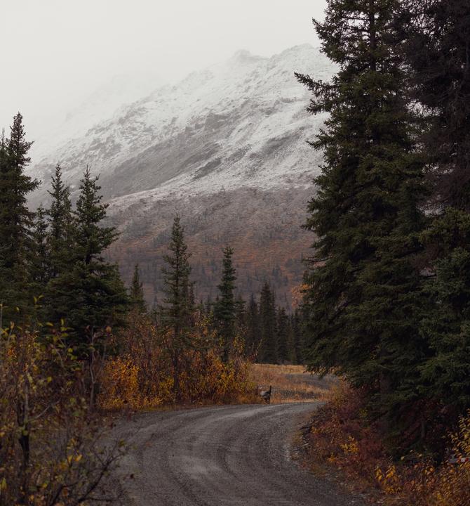 Trial in Denali National Park