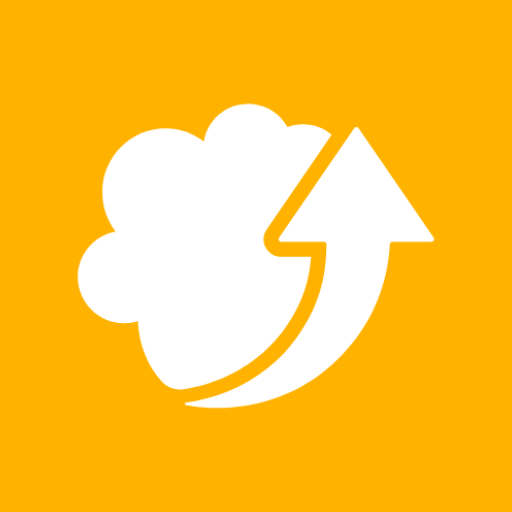 Filester