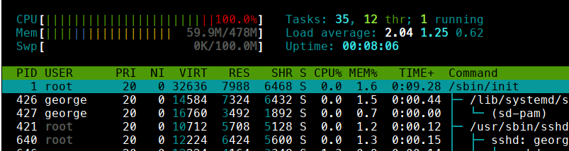 htop command