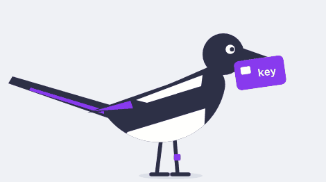 Pica the magpie admires a shiny key, notices you, hides it under her wing and bows.