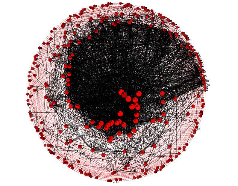 Network Graph Example