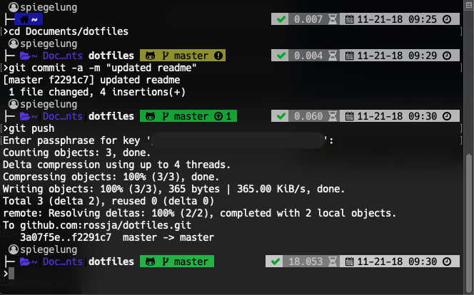 screenshot of the same config on the system terminal, using the Pro theme