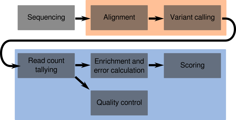 Pipeline overview