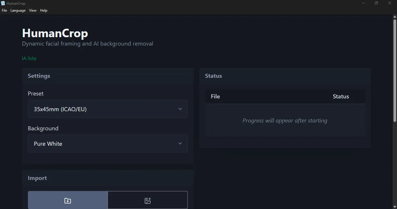 Main interface