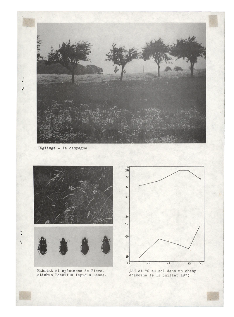 LA CAMPAGNE - SEKVENS 25.08 - 05.09.1973 — Sheet 4