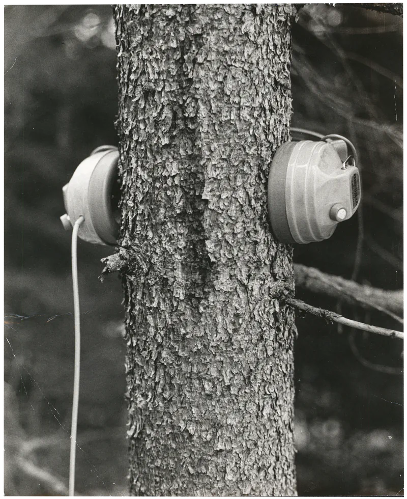 BENGT AF KLINTBERG Skogsdykaren (The Forest Diver) 26.10 -6.11.1974
