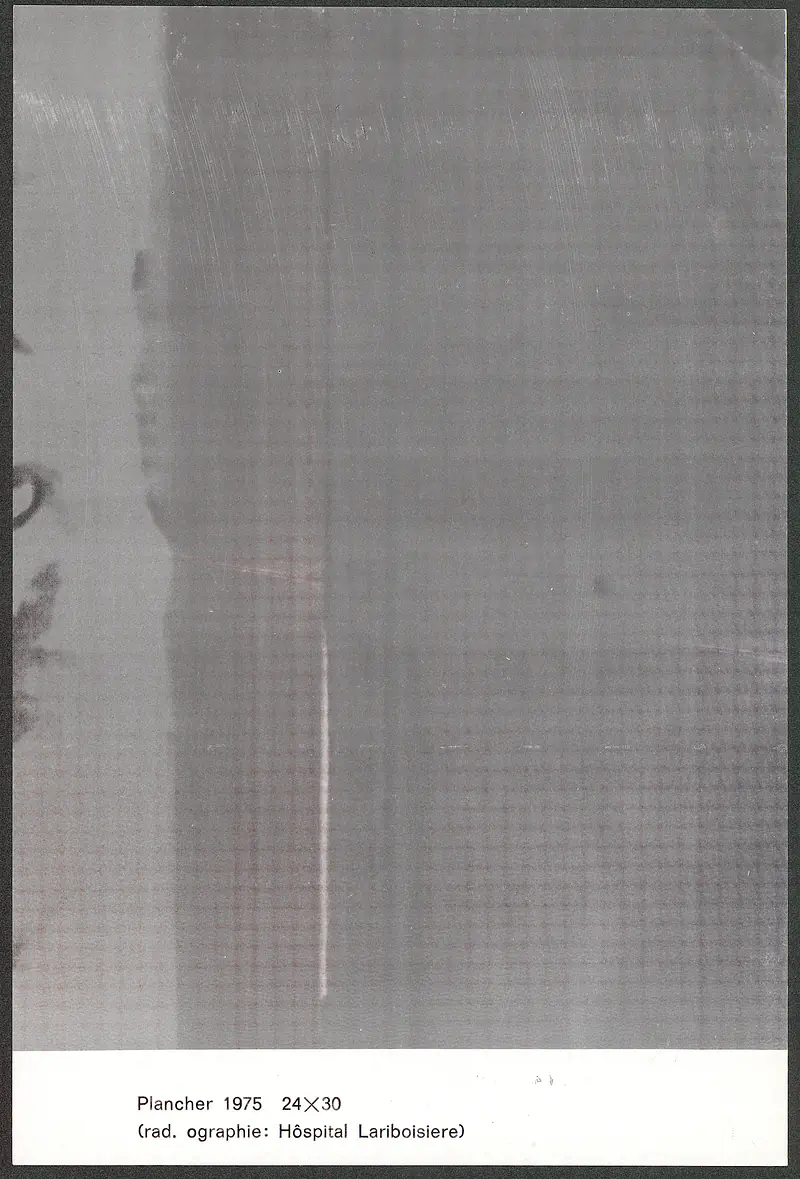 12-31.10.1973 FRANCOISE JANICOT — Sheet 1